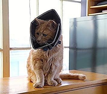 All Four Paws Comfy Cone Pet Cone for Dogs, Cats, Small-Long, Black - Comfortable Soft Dog Cone Collar Alternative for After Surgery, Wound Care, Spay, Neuter - Dog and Cat Recovery Collar