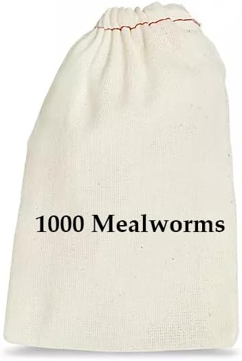 BASSETT'S CRICKET RANCH 1000 Mealworms - Worms for Reptiles and Birds