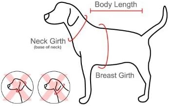 Puppia Vivien Dog Harness Over-the-Head All Season Cute No Pull No Choke Walking Training Adjustable for Small Dog, Black, Large