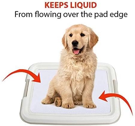 PAWISE Dog Training Pee Pad Holder Tray, Indoor Puppy Potty Pee Pad Floor Tray Dog Toilet, 24''X24', Large