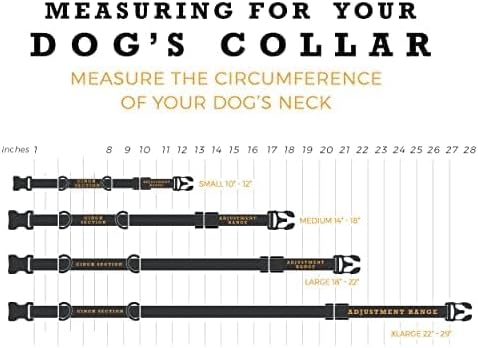 Wolfgang Heavy Duty Martingale Dog Collar with Quick Release Nylon Buckle for Walking & Training, Hideout Print, Medium