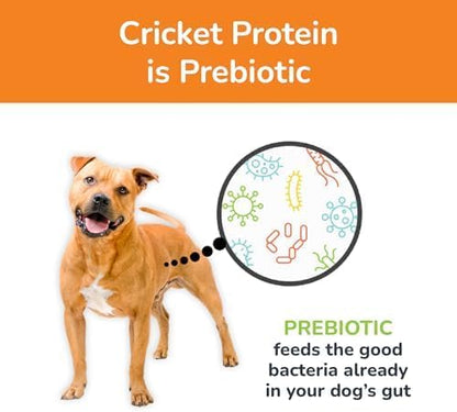 Jiminy's Chewy Cricket Training Treats for Dogs, Low Calorie, Hypoallergenic, Made in USA, 6oz, Pumpkin & Carrot (Pack of 3)