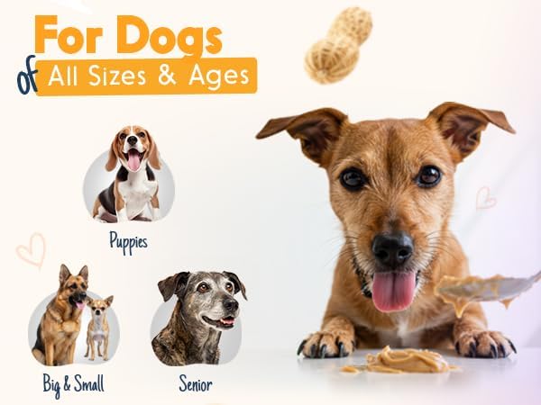 Ruff Ruff Raw + Pumpkin Pup Buddy BUDDER, Natural Peanut Butter for Dogs, Made in USA (Set of 2/ 17oz Jars)