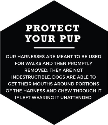 Wolfgang Heavy Duty Adjustable Dog Harness, Pull-Tested to Over 800 lbs for Walking & Training, ChevTech Print, Small