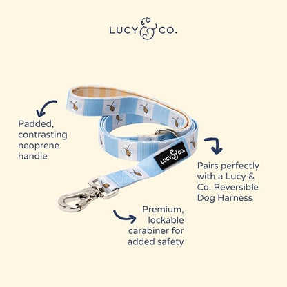Lucy & Co. Bumbling Around Dog Leash, Durable Matching Dog Lead with Heavy Duty Hardware, Large