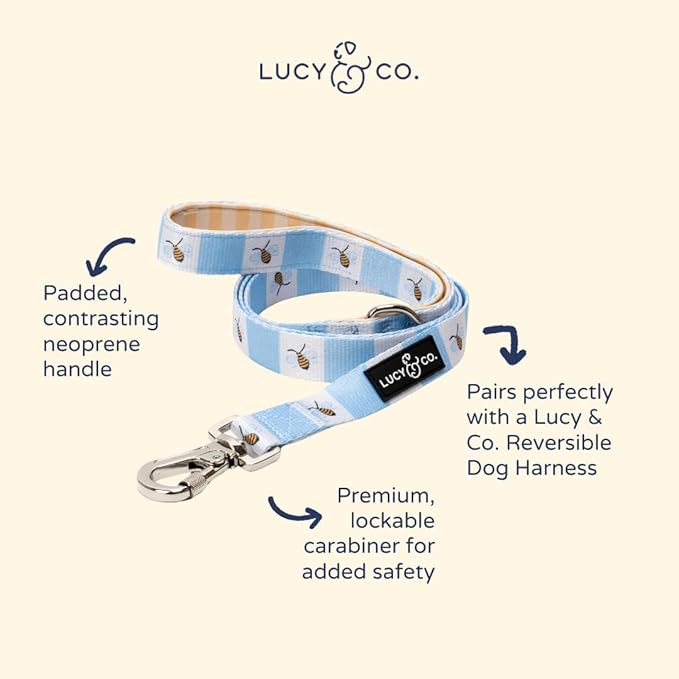 Lucy & Co. Bumbling Around Dog Leash, Durable Matching Dog Lead with Heavy Duty Hardware, Small
