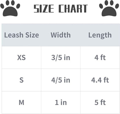Lionet Paws Valentine's Day Dog Leash & Collar Set - Matching, Adjustable for Small to Large Dogs