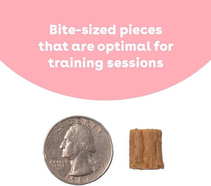 Pupford Soft & Chewy Training Treats for Dogs & Puppies (Chicken, 10 oz, 2 Pack)