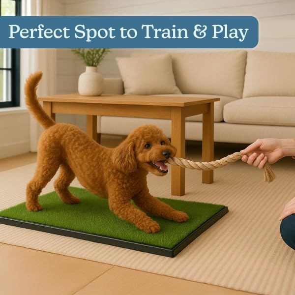 Artificial Grass Puppy Pad with Tray 16x20 inch | Reusable Indoor & Outdoor Dog Potty Training Mat System | Washable Fake Grass Pet Housebreaking Pad for Puppies & Small to Medium Dogs by PETMAKER