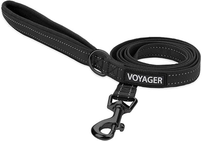 Best Pet Supplies Voyager Reflective Dog Leash or Collar with Neoprene Handle, for Small, Medium, and Large Breed Puppies, Cute and Heavy Duty for Walking, Running and Training - Black (Leash), L