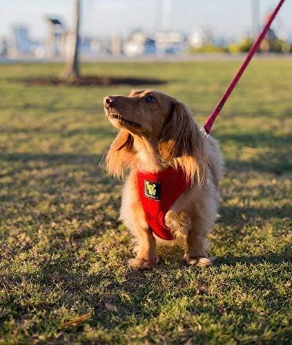 EcoBark Dog Leash - Soft & Reflective Comfort Leashes with Padded Handle - Safe, Strong, & Durable for Small, Medium or Large Dogs (Red)