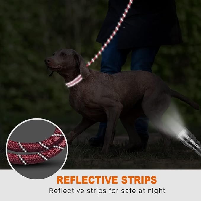 Taglory Rope Dog Leash 4 FT with Comfortable Padded Handle, Highly Reflective Threads Leash and Anti-Tangle Clip for Walking Medium Large Dogs, 1/2 inch, Pink
