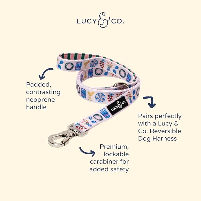 Lucy & Co. Dolce Vita Dog Leash, Durable Matching Dog Lead with Heavy Duty Hardware, Small