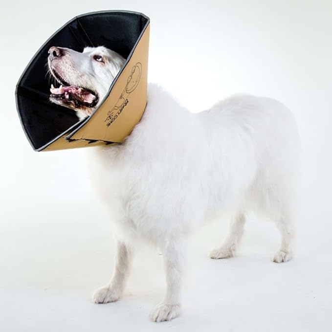 All Four Paws Comfy Cone Pet Cone for Dogs, Cats, X-Small, Tan - Comfortable Soft Dog Cone Collar Alternative for After Surgery, Wound Care, Spay, Neuter - Dog and Cat Recovery Elizabethan-Collar