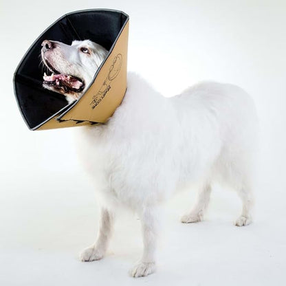 All Four Paws Comfy Cone Pet Cone for Dogs, Cats, X-Small, Tan - Comfortable Soft Dog Cone Collar Alternative for After Surgery, Wound Care, Spay, Neuter - Dog and Cat Recovery Elizabethan-Collar