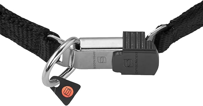 Herm Sprenger Stainless Steel Prong Dog Training Collar with Quick Release Buckle No-Pull Collar for Dogs (Stainless Steel, 20in x 3.2mm (Neck Size Up to 17in))