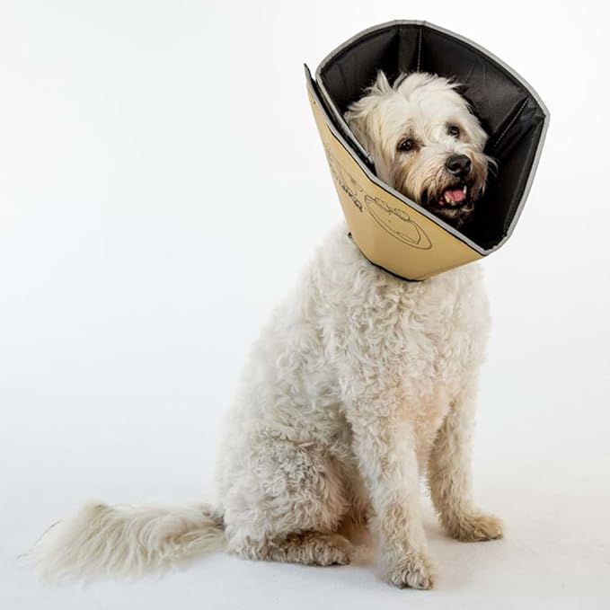All Four Paws Comfy Cone Pet Cone for Dogs, Cats, X-Small, Tan - Comfortable Soft Dog Cone Collar Alternative for After Surgery, Wound Care, Spay, Neuter - Dog and Cat Recovery Elizabethan-Collar