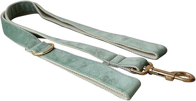 Love Dream Velvet Dog Collar and Leash Set, Soft & Comfy Adjustable Dog Leash and Collar with Heavy Duty Metal Buckle for Small Medium Large Dogs Training & Walking (Medium, Mint Green)