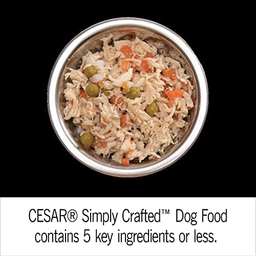 Cesar Simply Crafted Adult Wet Dog Food Toppers for Dry Food, Variety Pack, 1.3 oz Tubs, 24 Count