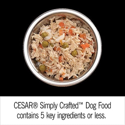 Cesar Simply Crafted Adult Wet Dog Food Toppers for Dry Food, Variety Pack, 1.3 oz Tubs, 24 Count