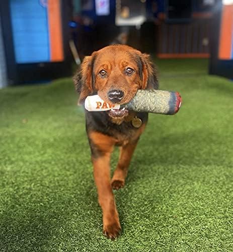 Nestpark Doggy Doobie - Funny Dog Toys - Plush Squeaky Toys for Medium, Small and Large - Cool Stuffed for Dog Birthday