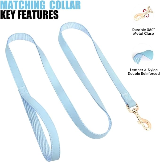 PET ARTIST Soft PU Leather Dog Collar and Leash Set, Bright & Stylish 5FT PU Leather Leash and Collar Set, Durable Pet Collars with Quick Release Metal Buckle for Medium Dogs,Blue,M(13-19")