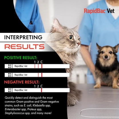 RapidBac™ Vet – 15-Minute at-Home Urine Test for Dogs and Cats to Quickly Screen for UTI Causing Bacteria, 1 Pack