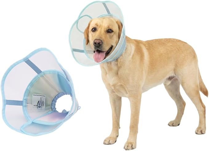 Touchdog Soft Dog Cone Collar,Waterproof & Foldable Elizabethan Collar for Dogs After Surgery, No Lick Recovery E-Collar, Comfortable Protective Cone Alternative for Small Medium Large Dogs (Blue, XL)