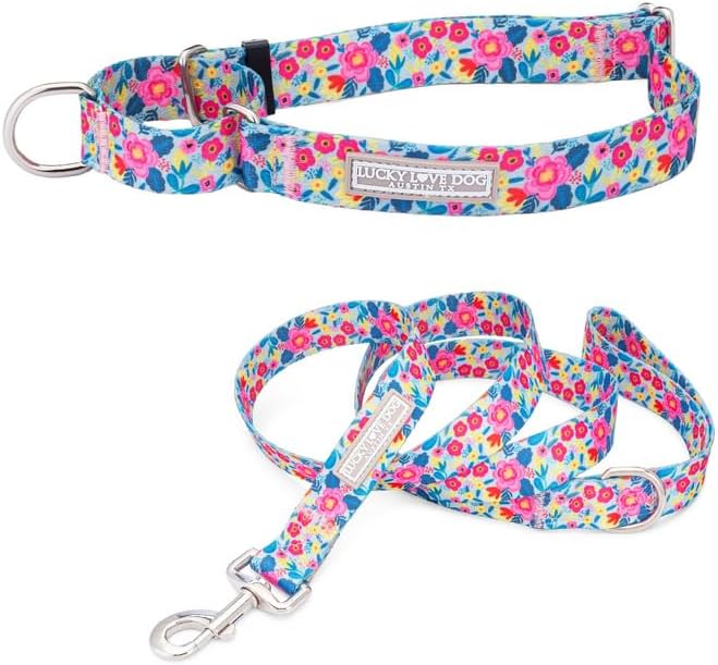 Lucky Love Dog Martingale Dog Collar & Leash - Adjustable, No-Slip, Durable, Comfortable, Soft Webbing, & Stylish Patterned Collar & Leash Set for Male and Female Dogs - Valentina Combo, Small