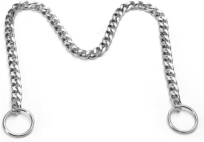 Flat Siver Dog Chain Collars, Metal Slip Choke Collar for Dogs, Heavy Duty Training Martingale Dog Chains for XXS XS Small Medium Large Breed Pets Dogs, XSmall