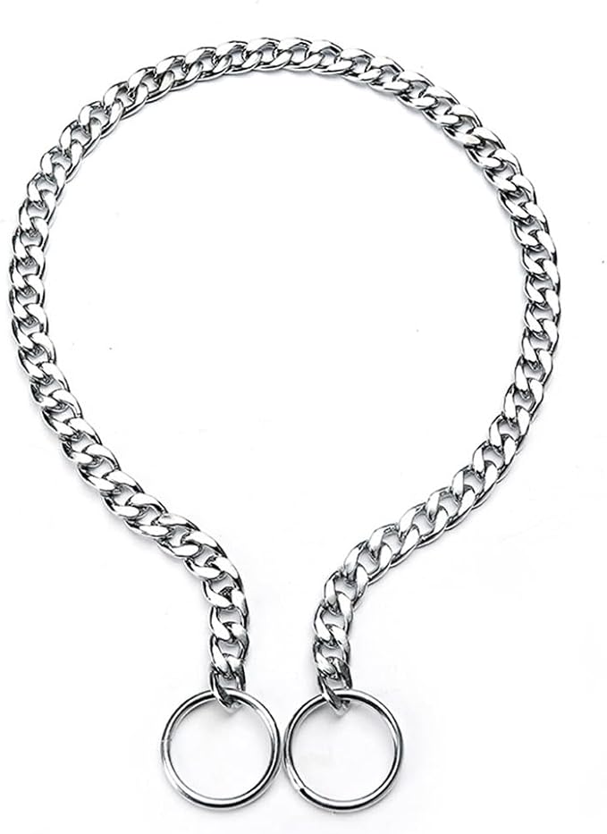 Silver Dog Chain Collars for Medium Dogs, Training Slip P Metal Link Duty Martingale Collar for XS Small Medium Large Breed Dogs,M