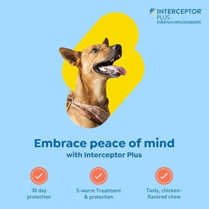 Interceptor Plus Prevention for Heartworm + 4 Other Worms for Dogs 50.1-100 lbs. | 12 Chews, 12-Month Supply