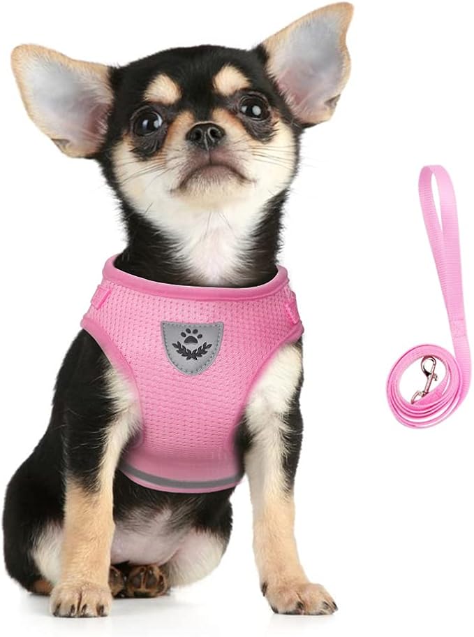 FEimaX Dog Harness and Leash Set for Walking, Soft Mesh Adjustable Easy Control Lightweight Cat Vest Harnesses with Reflective Strips, Escape Proof Small Dogs Cats Vests (Pink, X-Small)