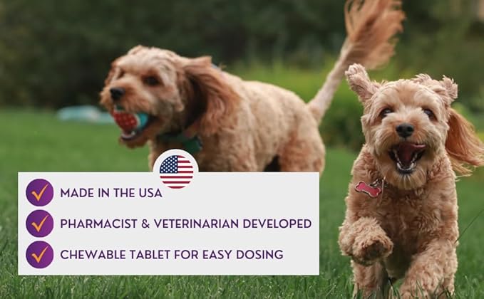 Comprehensive Liver Supplement (2 Pack - 60ct), Combining Same, SPC, Silybin A+B, Gluathione, Chew Tabs for Dogs 30Ct (2X Small - Medium)