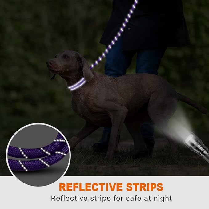 Taglory Rope Dog Leash 4 FT with Comfortable Padded Handle, Highly Reflective Threads Leash and Anti-Tangle Clip for Walking Medium Large Dogs, 1/2 inch, Purple