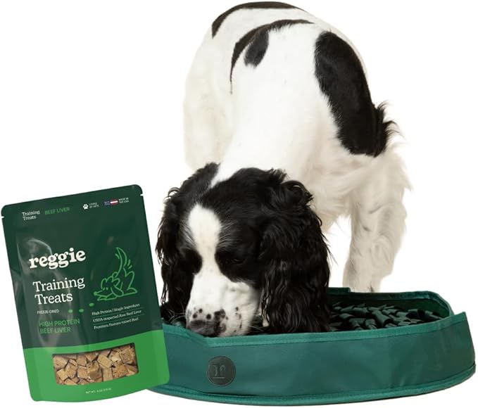 Reggie Freeze-Dried Beef Liver Treats Single Ingredient Dog Treats, High Protein Training Treats or Meal Topper for All Dogs, USDA-Inspected Beef Liver, Grain-Free, Gluten-Free, USA Made | 4OZ