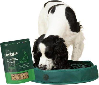Reggie Freeze-Dried Beef Liver Treats Single Ingredient Dog Treats, High Protein Training Treats or Meal Topper for All Dogs, USDA-Inspected Beef Liver, Grain-Free, Gluten-Free, USA Made | 4OZ