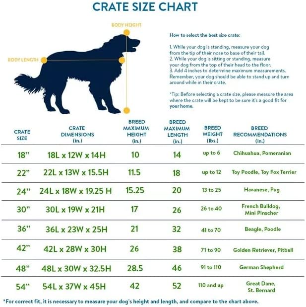 Midwest Homes for Pets 24-Inch New World Crate for Small Breeds, 12-20 lbs, Double Door Folding Dog Crate, Leak-Proof Tray & Secure Latches, Portable, Durable & Easy to Assemble