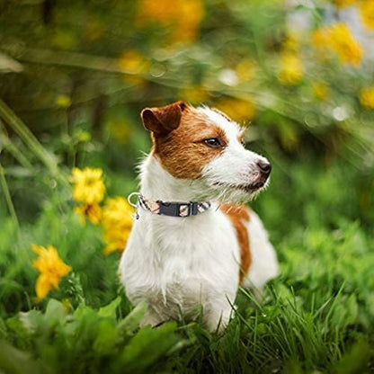 PUPTECK Adjustable Dog Harness Collar and Leash Set Step in No Pull Pet Harness for Small Medium Dogs Puppy and Cats Outdoor Walking Running, Soft Mesh Padded Reflective Vest Harnesses, Beige L
