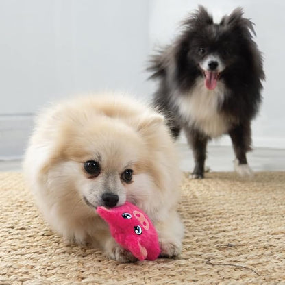 KONG Snuzzles Kiddos Mini Extra Small Dog Toy - Soft Plush Squeaky Toy for Small Dogs & Puppies (Frog/Pig/Duck Combo)