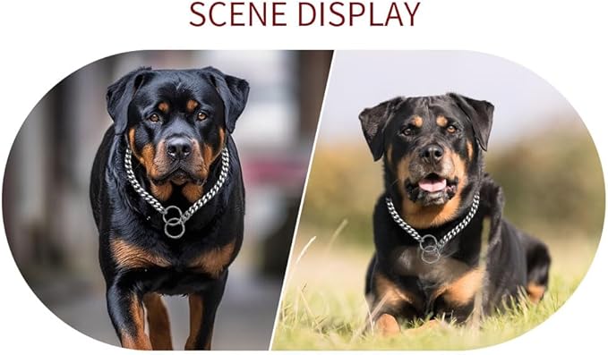 Dog Chain Collars Slip P Chain Metal Link Dog Collar Training Heavy Duty Martingale Puppy Collar for XS Small Medium Large Big XL Breed Dogs (Silver, XS)
