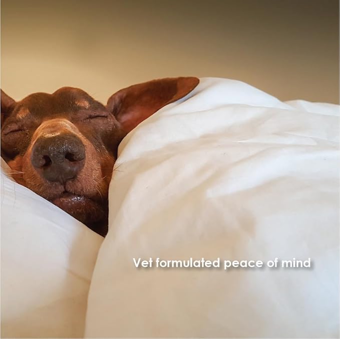 Tranquil-Chews Calming Formula for Dogs – Anxiety, Stress, Travel, Fireworks Relief – Chamomile, L-Tryptophan, Ginger – Beef Flavored Soft Chews – 60 Count – Supports Relaxation and Balanced Behavior