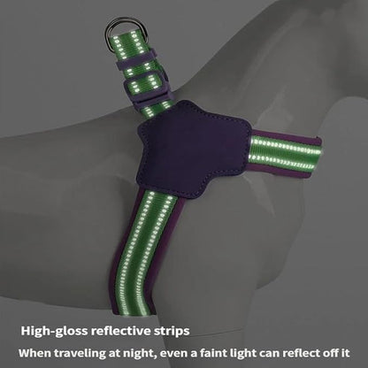 Reflective Dog Harness and Leash Set Designed for Collie, Anti-Pull Adjustable Pet Harness and Leash Purple L