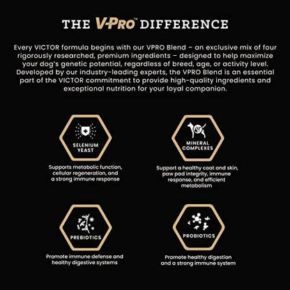 VICTOR Super Premium Dog Food – Select Ocean Fish Formula with Salmon – Omega-3 and Omega-6 Enriched Gluten-Free Dry Kibble for All Normally Active Dogs of All Life Stages, 40lbs