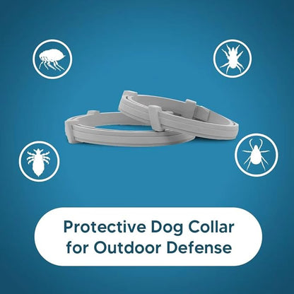 NJKPUYT Flea Collar for Dogs, Tick and Flea Collar for Dogs, Dog Tick Collar, Dog Flea Collars, Tick Collar for Dogs, Flea Collar for Large Dogs, Lasts Up to 8 Months, Family Friendly – 2 Pack