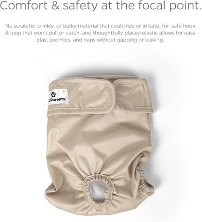 Pet Parents® Washable Dog Diapers (3pack) + Extendrs® of Durable Doggie Diapers, Premium Dog Diapers Female (X-Small, Spruce)