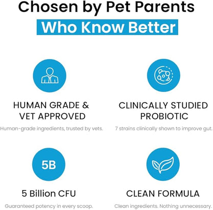 Human Grade Daily Probiotic for Dogs – Vet Approved with 7 Clinically Proven Strains + Prebiotics, Gut & Immune Support with Pumpkin & Carrot – 60 Servings – 5 Billion CFU per Scoop
