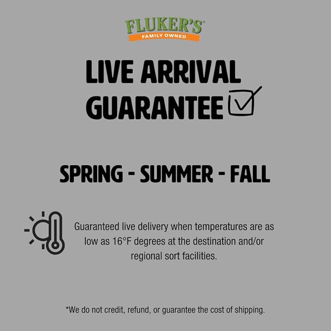 Fluker's Live Hornworms, 12 Count Cup, Premium High-Calcium Treats for Reptiles, Amphibians, and Birds