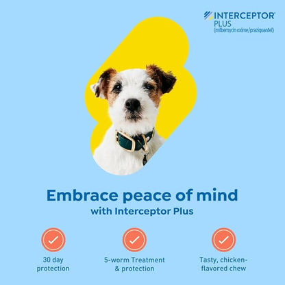 Interceptor Plus Prevention for Heartworm + 4 Other Worms for Dogs 8.1-25 lbs. | 1 Chew, 1-Month Supply