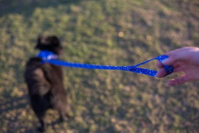 EcoBark Dog Leash - Soft & Reflective Comfort Leashes with Padded Handle - Safe, Strong, & Durable for Small, Medium or Large Dogs (Nautical)
